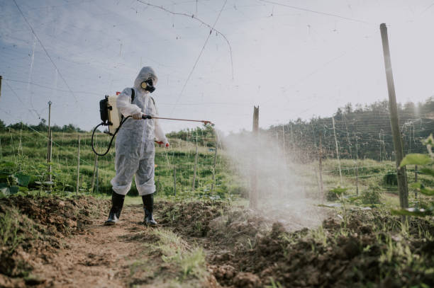 Best Pest Control Treatment  in Angola, IN