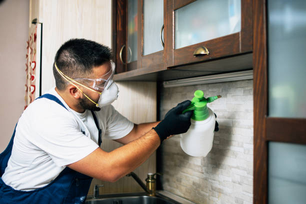 Best Best Pest Control Near Me  in Angola, IN