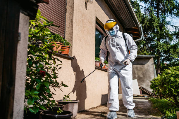 Best Affordable Pest Control Services  in Angola, IN