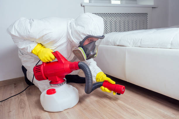 Best Flea Control Services  in Angola, IN