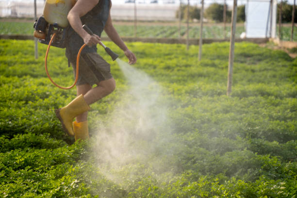 Best Local Pest Control Services  in Angola, IN