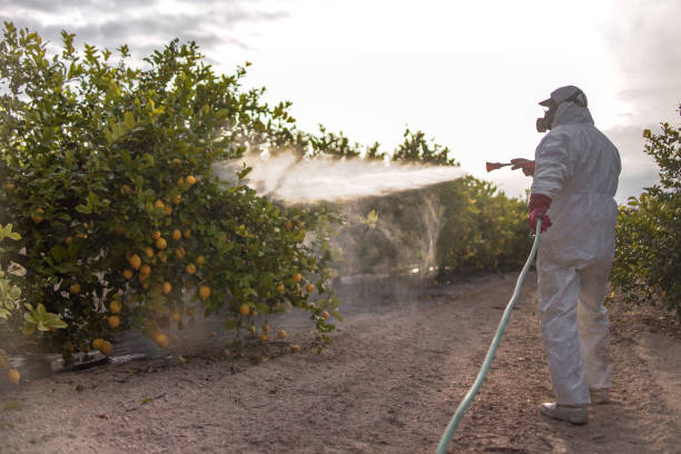 Best Bird Control  in Angola, IN