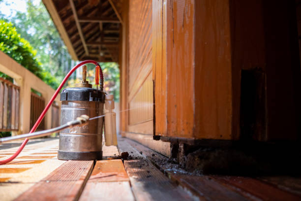 Best Best Pest Control Companies  in Angola, IN