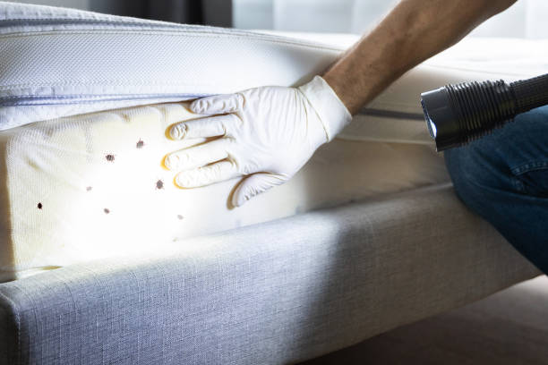 Trusted Angola, IN Pest Control Experts