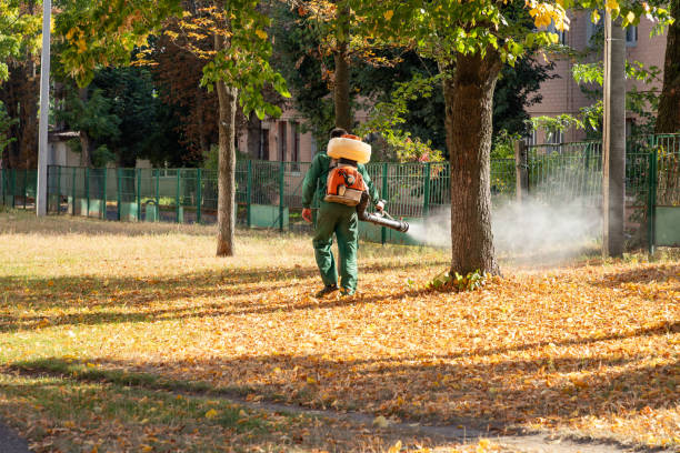 Best Pest Prevention Services  in Angola, IN