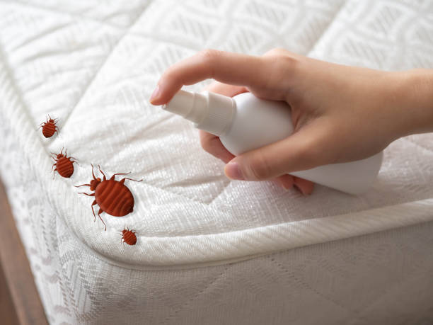 Best Pest Removal Services  in Angola, IN