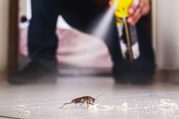 Best Residential Pest Control  in Angola, IN